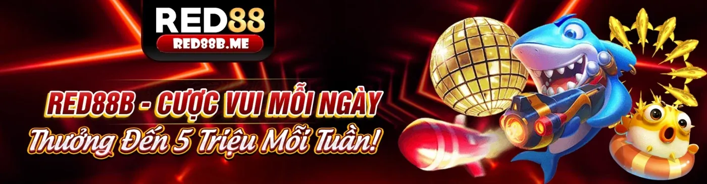 Ưu Đãi và Khuyến Mãi Hấp Dẫn